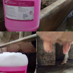 Detergents-&-Teat-Dip-new